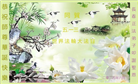 长春大法弟子庆祝世界法轮大法日(20条)