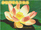 湖南大法弟子庆祝世界法轮大法日(20条)