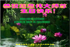张家口大法弟子庆祝世界法轮大法日(19条)