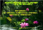 张家口大法弟子庆祝世界法轮大法日(19条)