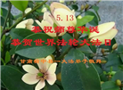 甘肃大法弟子庆祝世界法轮大法日(20条)