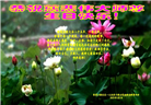 张家口大法弟子庆祝世界法轮大法日(19条)