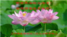 辽宁大法弟子庆祝世界法轮大法日(22条)