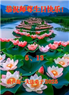 葫芦岛大法弟子庆祝世界法轮大法日(26条)