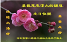 张家口大法弟子庆祝世界法轮大法日(26条)
