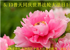 河南大法弟子庆祝世界法轮大法日(21条)
