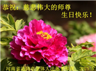河南大法弟子庆祝世界法轮大法日(21条)