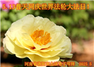 河南大法弟子庆祝世界法轮大法日(21条)