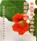 各行业大法弟子庆祝世界法轮大法日(27条)