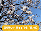 盘锦大法弟子庆祝世界法轮大法日(20条)