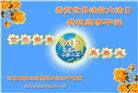 廊坊大法弟子庆祝世界法轮大法日(20条)