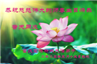 重庆大法弟子庆祝世界法轮大法日(22条)