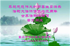 重庆大法弟子庆祝世界法轮大法日(22条)