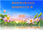 保定大法弟子庆祝世界法轮大法日(24条)