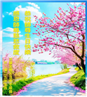 丹麦、瑞典、挪威、芬兰大法弟子庆祝世界法轮大法日