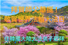 韩国大法弟子庆祝世界法轮大法日