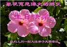 纽约地区大法弟子庆祝世界法轮大法日