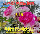 台湾、香港大法弟子庆祝世界法轮大法日