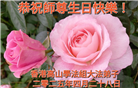 台湾、香港大法弟子庆祝世界法轮大法日