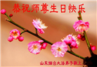 山东大法弟子庆祝世界法轮大法日(20条)