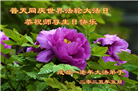 成都大法弟子庆祝世界法轮大法日(22条)