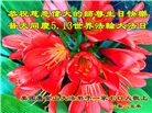 美西地区大法弟子庆祝世界法轮大法日