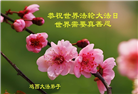 鸡西大法弟子庆祝世界法轮大法日(21条)