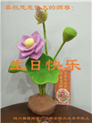 四川大法弟子庆祝世界法轮大法日(22条)