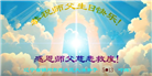 锦州大法弟子庆祝世界法轮大法日(21条)