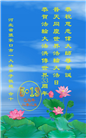 张家口大法弟子庆祝世界法轮大法日(23条)