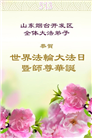 山东大法弟子庆祝世界法轮大法日(23条)