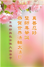 潍坊大法弟子庆祝世界法轮大法日(21条)