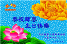 张家口大法弟子庆祝世界法轮大法日(23条)