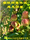 纽约地区大法弟子庆祝世界法轮大法日