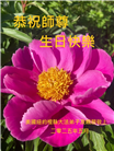 纽约地区大法弟子庆祝世界法轮大法日