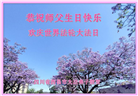 四川大法弟子庆祝世界法轮大法日(19条)