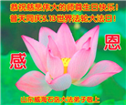 山东大法弟子庆祝世界法轮大法日(20条)