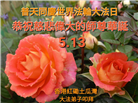 台湾、香港大法弟子庆祝世界法轮大法日
