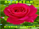 四川大法弟子庆祝世界法轮大法日(20条)
