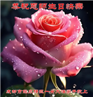 成都大法弟子庆祝世界法轮大法日(22条)