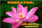 大庆大法弟子庆祝世界法轮大法日(18条)