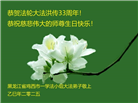 鸡西大法弟子庆祝世界法轮大法日(21条)