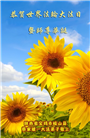 陕西大法弟子庆祝世界法轮大法日(20条)