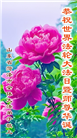 山东大法弟子庆祝世界法轮大法日(20条)