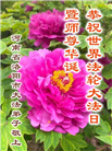 河南大法弟子庆祝世界法轮大法日(21条)