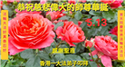 台湾、香港大法弟子庆祝世界法轮大法日