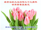 鸡西大法弟子庆祝世界法轮大法日(21条)
