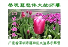 广东大法弟子庆祝世界法轮大法日(20条)