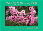 四川大法弟子庆祝世界法轮大法日(19条)