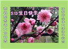 成都大法弟子庆祝世界法轮大法日(22条)